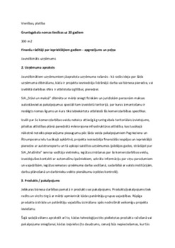 Biznesa plana paraugs 3
