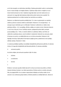 Cilvēka Acs 2