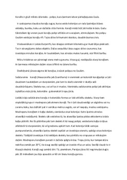 Koraļļi: bioloģija un nozīme ekosistēmā 1