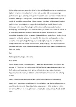 Putni: daudzveidība un nozīme dabā 3