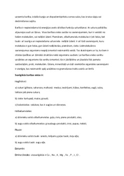 Uzturvielas: definīcija un veselības loma 2