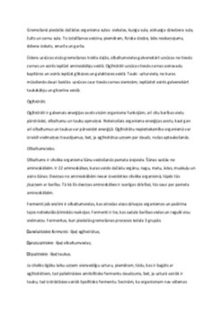 Uzturvielas: definīcija un veselības loma 3