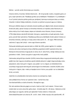 Vāveres: raksturojums, izplatība un dzīvesveids 1