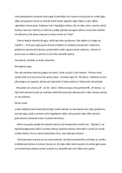 Vāveres: raksturojums, izplatība un dzīvesveids 3
