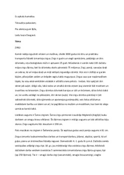 Zirgi latviešu folklorā: kultūras simboli un tradīcijas 1