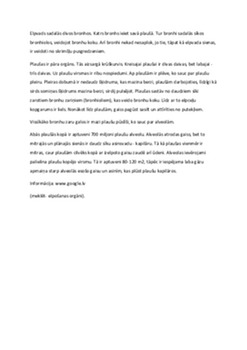 Elpošanas orgāni 2