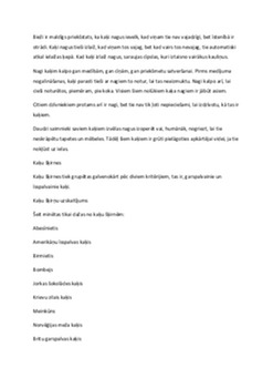 Viss par kaķiem / kaķis 2
