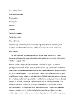 Viss par kaķiem / kaķis 3