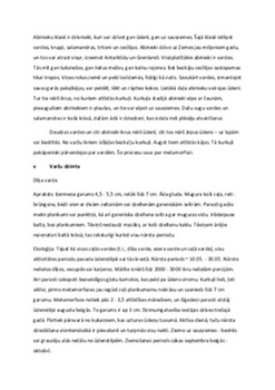 Abinieki (amfībijas): dzīvnieki starp ūdeni un zemi 1