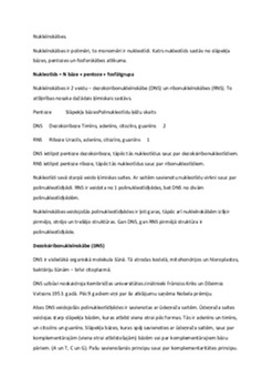 Nukleīnskābes: DNS un RNS struktūra 1