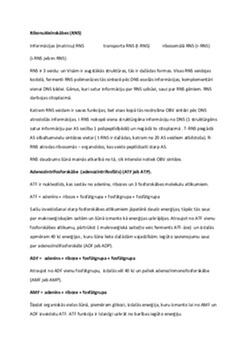 Nukleīnskābes: DNS un RNS struktūra 3