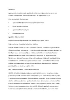 Bezžokļaiņi: primitīvie zivju radinieki 3