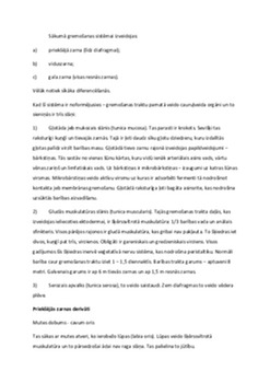 Gremosana organi 3