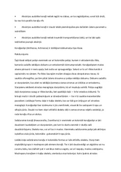 Zarndobumveidīgo dzīvnieki: ko par tiem zina zinātne 2