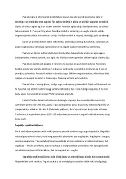 Sēklaugi: augu pasaulei svarīgākā grupa 3