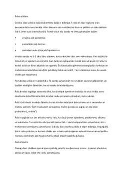 Cilvēka āda: struktūra, funkcijas un ādas aizsardzība 1