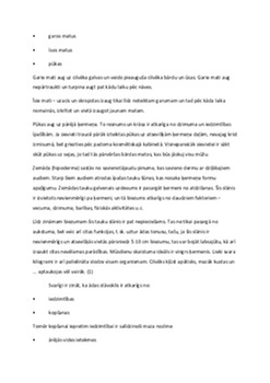 Cilvēka āda: struktūra, funkcijas un ādas aizsardzība 2
