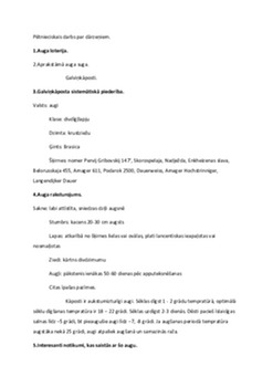 Pētnieciskais darbs par dārzeņiem 1