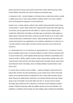 Kailsekļi: skujkoku meži un to loma 2