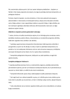 Putni: dažādība un lidošanas prasmes 1