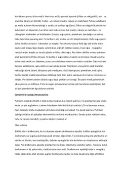 Putni: dažādība un lidošanas prasmes 2