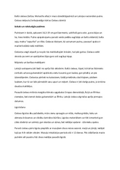 Baltā cielava 1