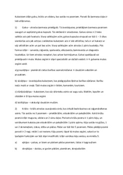 Kukaiņu klase 3