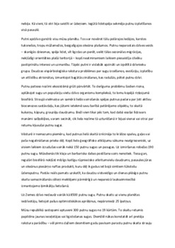 Putnu klase 2