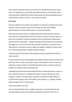 Putnu klase 3