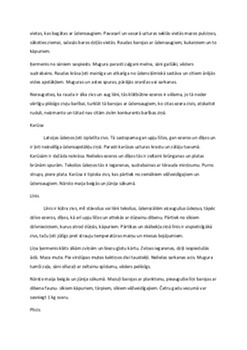 Latvijas zivis 2