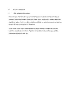 Ģenētikas nozīme mūsdienās (cilmes šūnas) 3