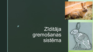 Trušu Zīditāja gremošanas sistēma 1
