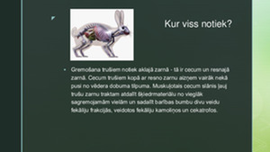 Trušu Zīditāja gremošanas sistēma 2