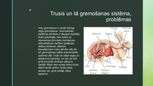 Trušu Zīditāja gremošanas sistēma 3