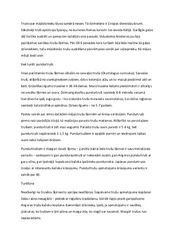 Truši – izcelsme un pieradināšanas vēsture 1
