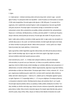 Egle – audzēšana, kopšana un slimības 1