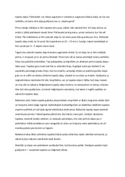 Tapetes un tapsēšana 3