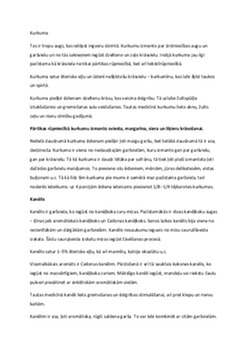 Garšvielas: to izcelsme un nozīme kulinārijā 3