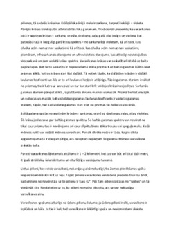 Varavīksne: optikas brīnums dabā 2