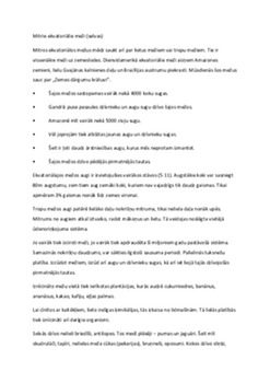 Mitrie ekvatoriālie meži: tropu lietusmežu ekosistēmu nozīme 1
