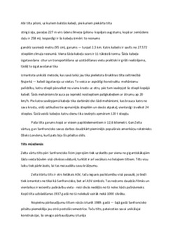 Zelta vārtu tilts 2