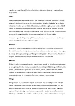 Āfrikas savannas – augu un dzīvnieku pasaule 3