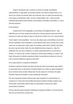 Ziepes: vēsture un ražošanas process 2