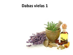 Dabas vielas: Tauki un eļļas 1