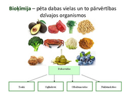 Dabas vielas: Tauki un eļļas 2