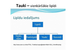 Dabas vielas: Tauki un eļļas 3
