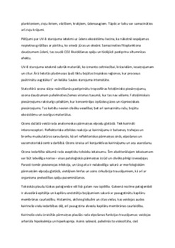 Ozons – īpašības, veidošanās un ietekme uz vidi 3