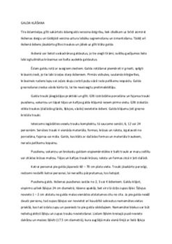 Galda kultūra un pieklājība: svinēto ēdienu etiķete 1