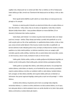 Galda kultūra un pieklājība: svinēto ēdienu etiķete 2