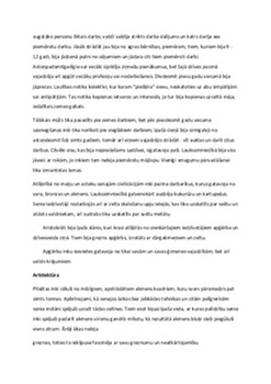 Inku kultūra 2